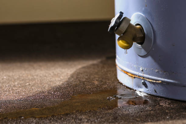 Best Flood damage cleanup  in Lakemore, OH