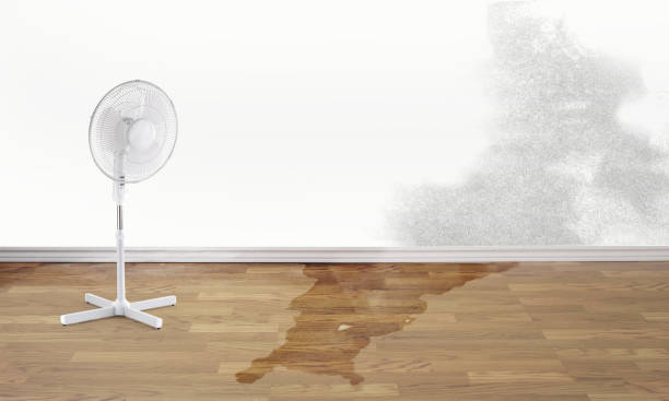 Best Water damage restoration mold remediation  in Lakemore, OH