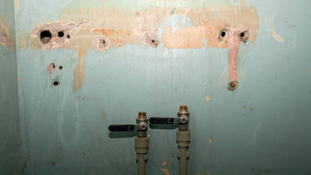 Water damage restoration mold remediation in Lakemore, OH